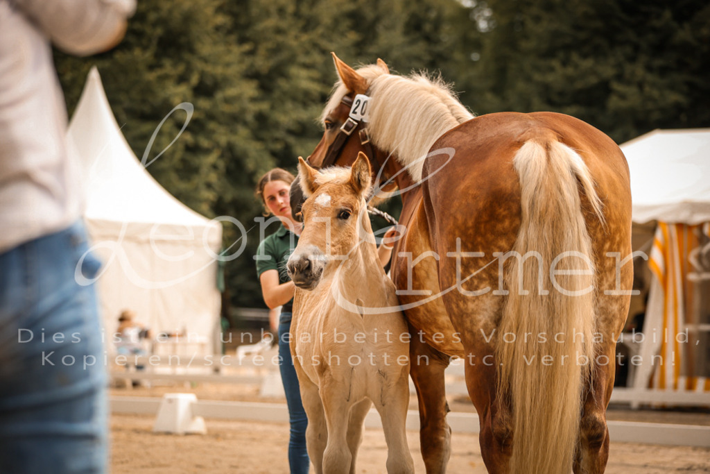 SaSF00003 | Leoni Ertmer Photography - Realisiert mit Pictrs.com