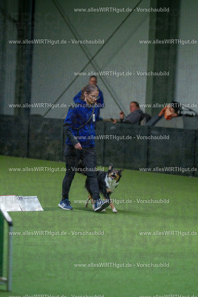 7R503176 | Professionelle Tierfotografie in Mönchengladbach von Daniel Wirth (allesWIRTHgut). Liebevolle & natürliche Bilder von Hunden & Katzen für unvergessliche Erinnerungen.