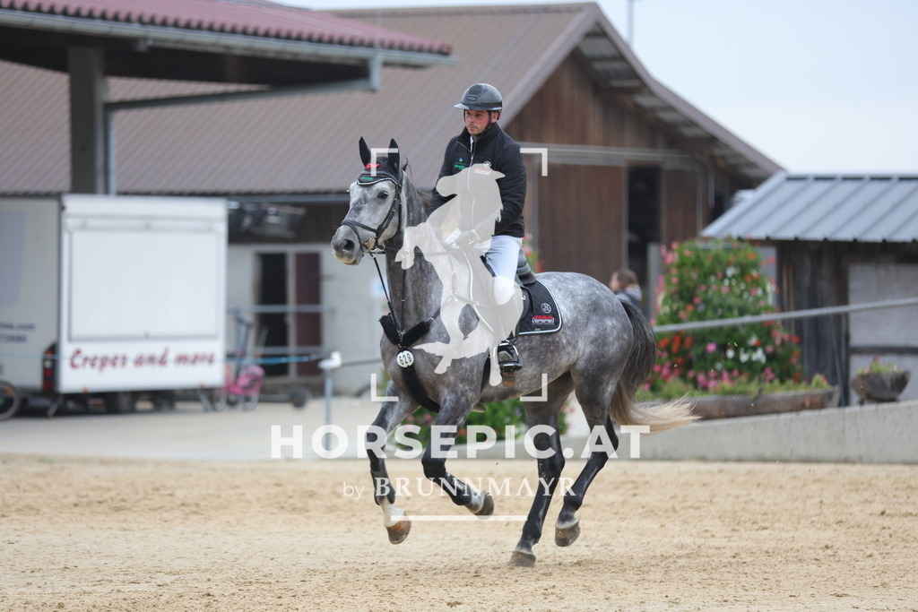 0P6A6557 | Willkommen bei Brunnmayr - Design & Fotografie – Ihrem Spezialisten für Reitturniere und Pferdeveranstaltungen in Oberösterreich, Salzburg und Bayern! Seit über 17 Jahren sind wir leidenschaftlich dabei.