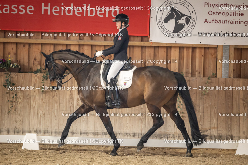 _D5A9277 | Emotionale Pferde- & People-Fotografie rund um Heidelberg, Leimen & Umgebung. Natürliche Fotos von Pferd, Mensch & Familie. Jetzt Termin sichern!