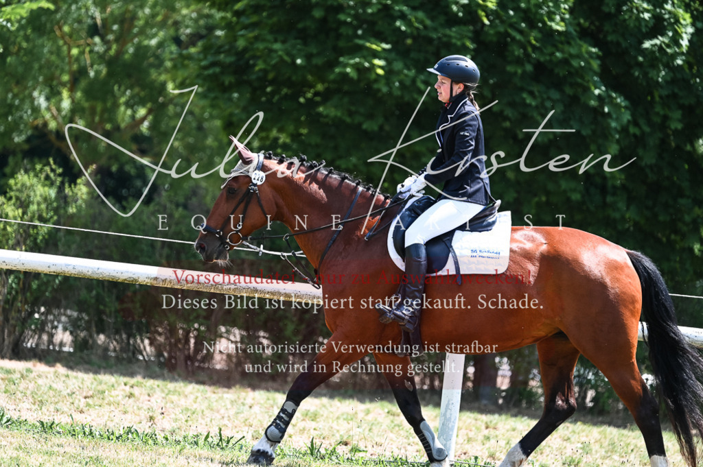 DSC_9902 | Pferde- und Turnierfotografie in Westsachsen. Pferdeportraits, Auftragszeichnungen und intuitive Kunst.