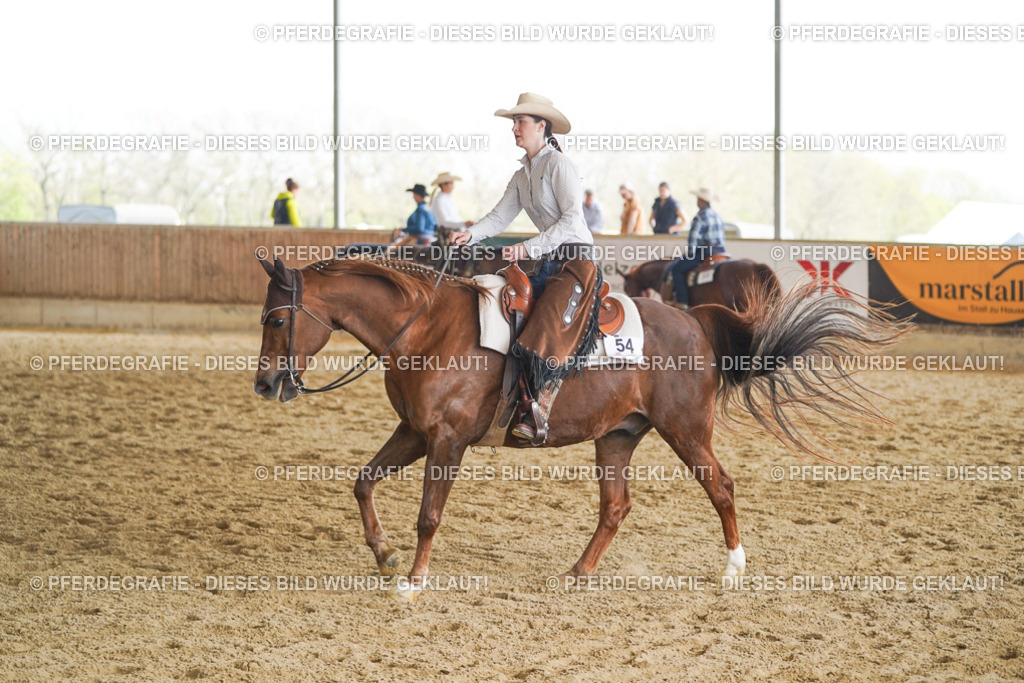 DSC01343 | Pferdegrafie