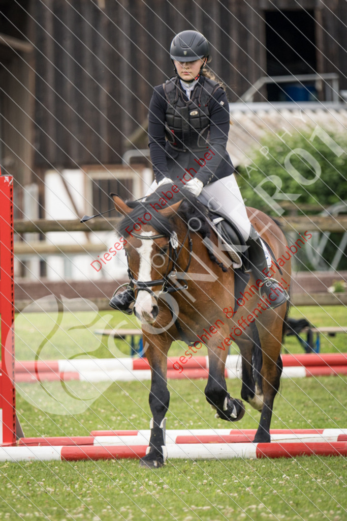 IMG_2312 | Sport-, Event- und Tierfotos in Profiqualität. Einfach auswählen, bestellen und herunterladen. Dein Moment – perfekt festgehalten.