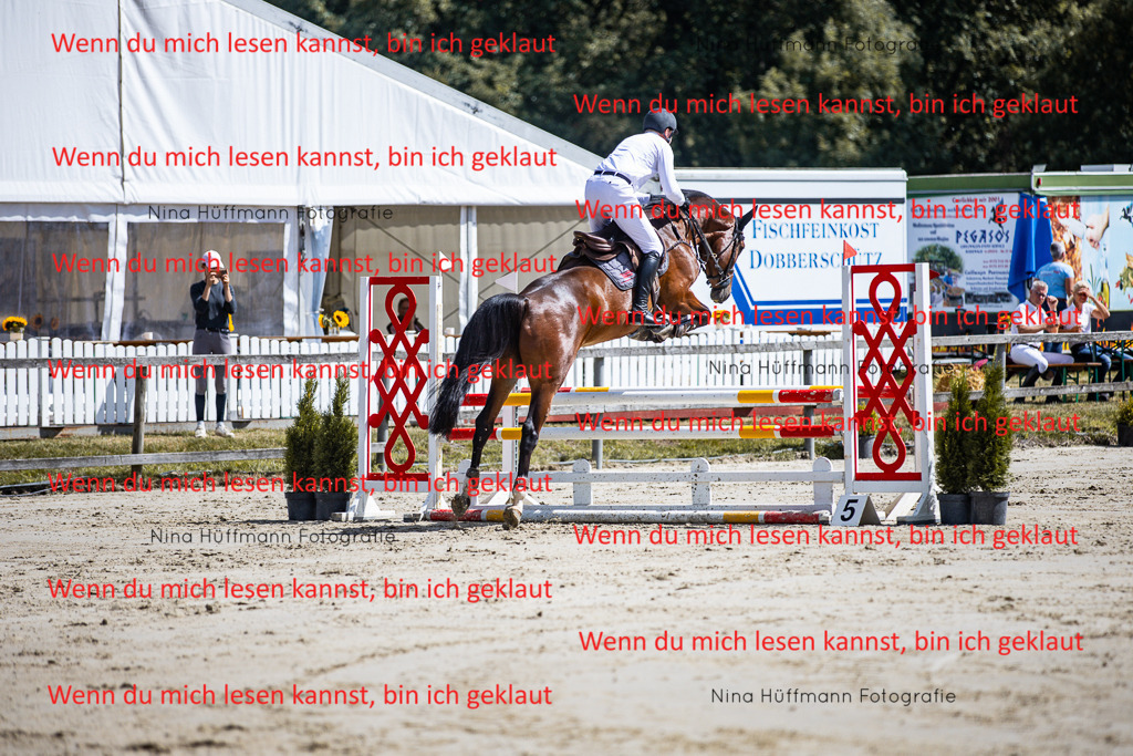 BK1A5048 | Turnierbilder Turnierfotos Nina Hüffmann Turnierfotografie Pferdefotografie Tierzeichnung Haustierzeichnung Pferdezeichnung Hundezeichnung Videograf  - Realisiert mit Pictrs.com