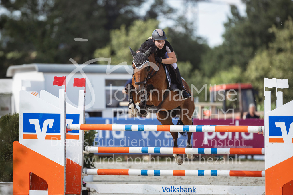 240711_BHO_M1-Spr-1-625 | Deine schönsten Turniermomente als professionelle Fotos! Entdecke hochwertige Pferdesport-Fotografie im Online-Shop. Jetzt Fotos finden & bestellen!