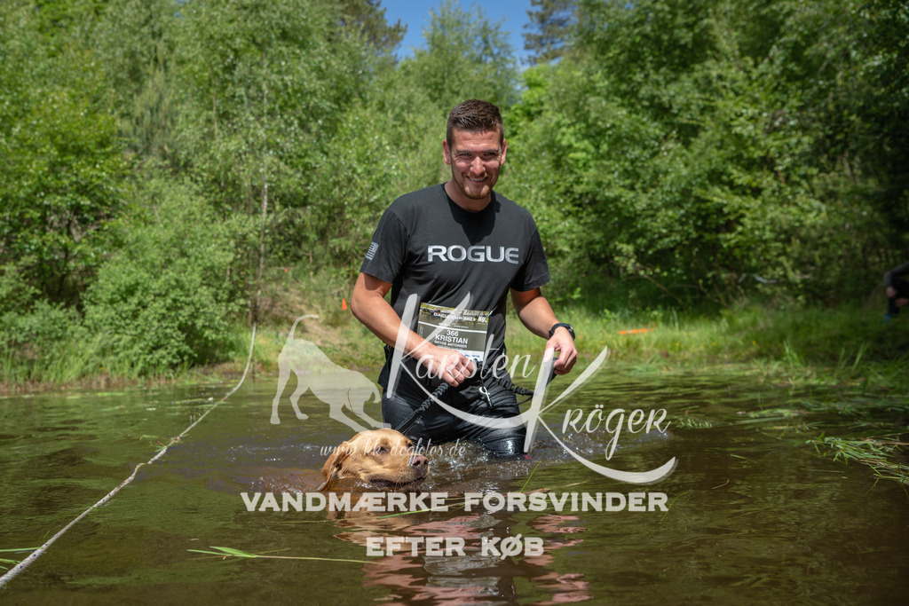 1128DKK990354 | kk-dogfotos