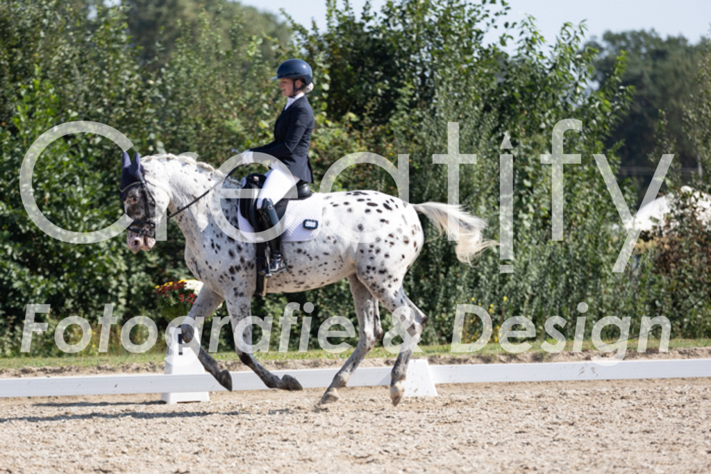 IMG_4678 | Creatify Fotografie