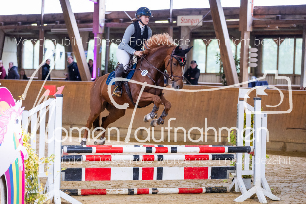 Sth-A-Springen-013 | MomenTaufnahmen Pferdesportfotos