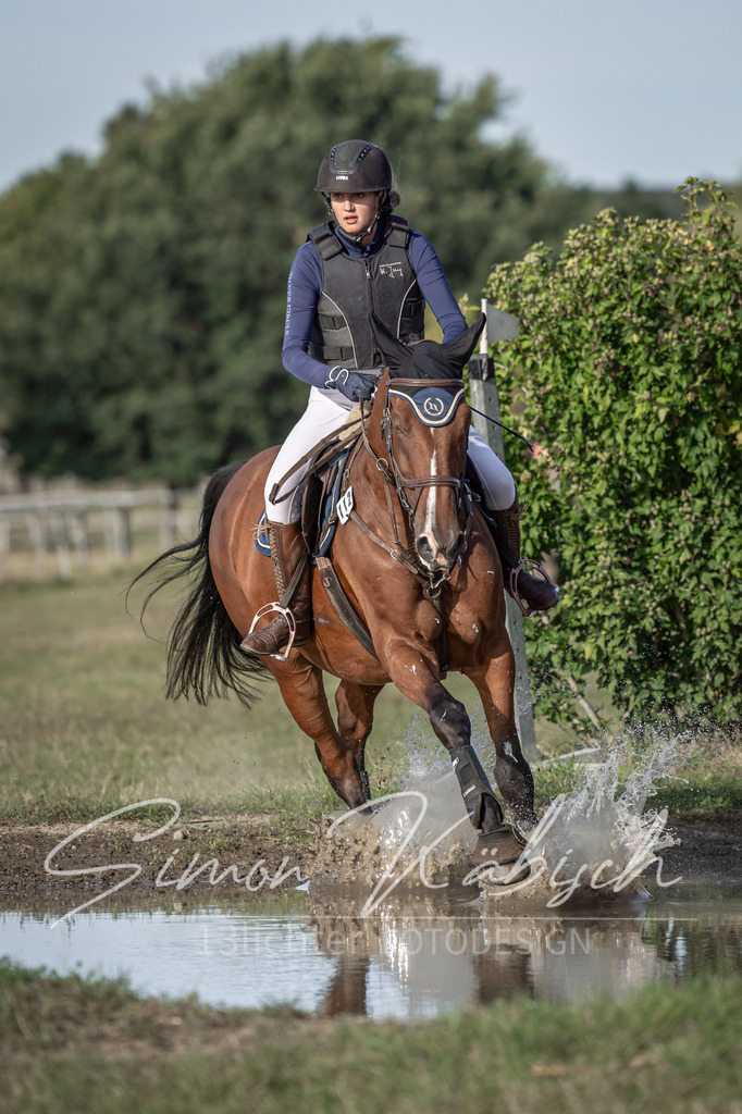 20250907-_3LI8705 | Tierfotografie Pferde, Hunde, Katzen, Haustiere.
Turnierfotografie Reitturniere, Reiten, Springreiten, Dressur in Hanau, dem Main-Kinzig-Kreis und dem Rhein-Main- Gebiet um Frankfurt