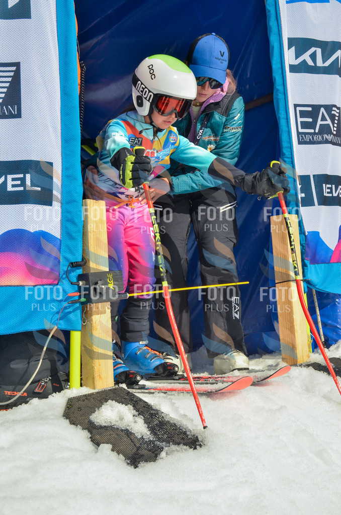 _ELE5125 | holidayphoto