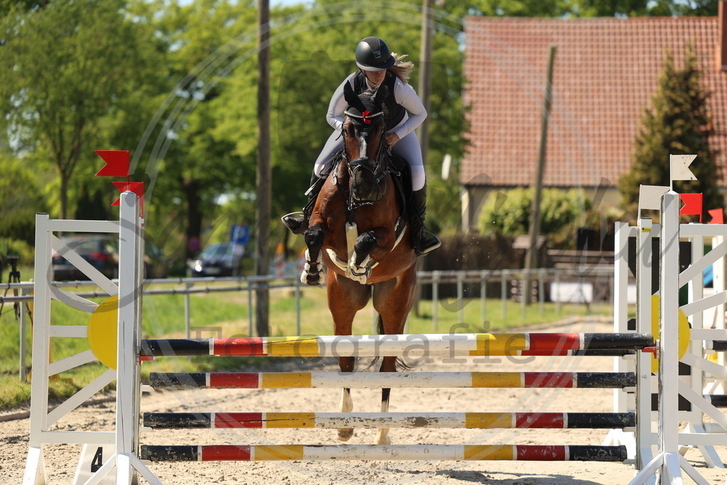 994A5816 | sabrinanicolaifotografie - Realisiert mit Pictrs.com