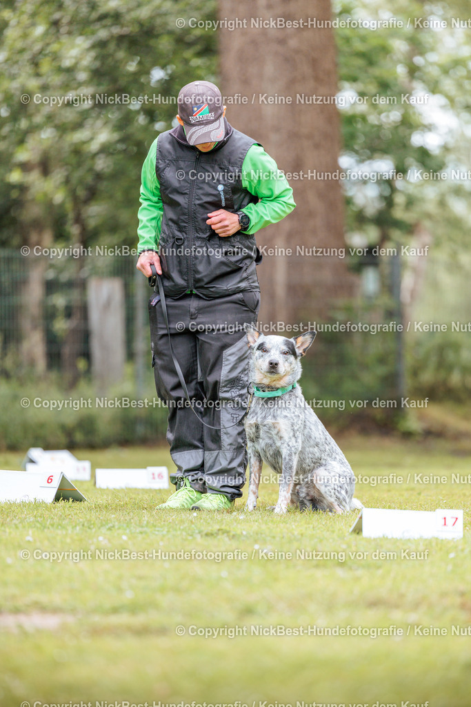 RO-Blumenthal-2026-Nickbest-Hundefotografie-5367 | Dein Hund! Dein Moment! Deine Erinnerungen! Hundefotografie in Bremen Blumenthal. Ich fange die besonderen Momente deines Vierbeiners ein – ob Indoor mit Blitzanlage oder in der freien Natur. Sicher dir dein Moment und dein Termin für eure Erinnerungen.