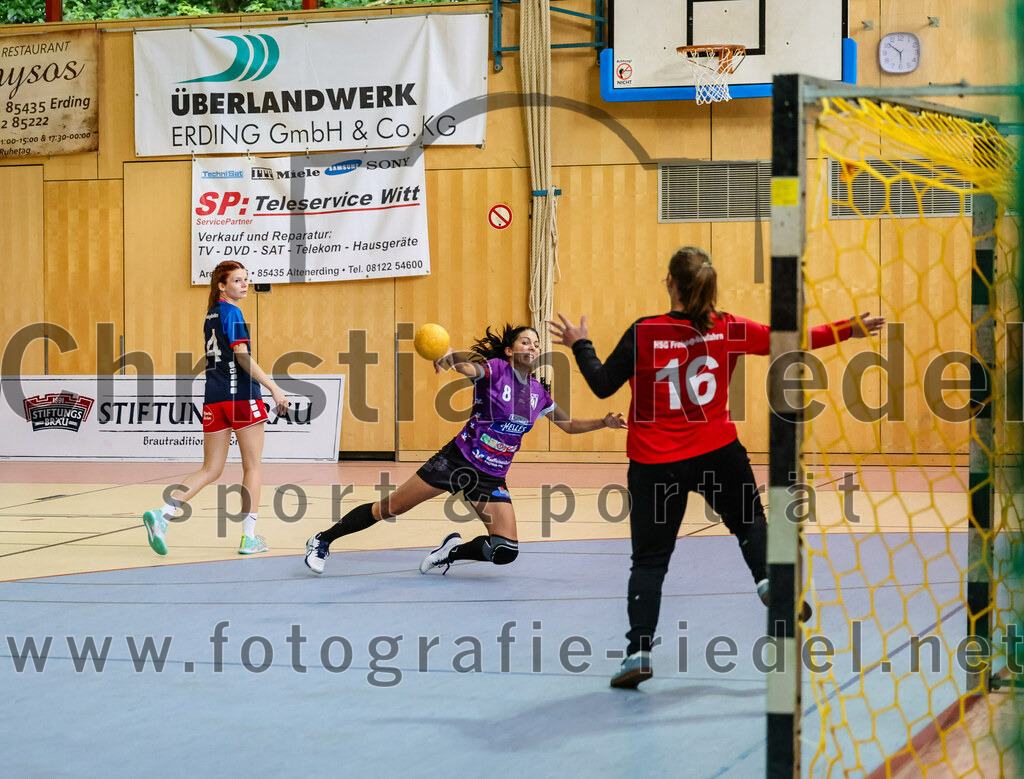 2023-10-14_032_SpVgg_Altenerding_gegen_HSG_Freising_Neufahrn_Damen | Erding, Deutschland, 14.10.2023:
Handball, Bezirksliga Frauen Altbayern 2023 / 2024, 3. Spieltag, SpVgg Altenerding II gegen HSG Freising-Neufahrn II, Endergebnis: 23:28

Carla Bluhme (HSG Freising-Neufahrn, #24), Sylvia Heider (SpVgg Altenerding, #8), Torfrau Hanna Knecht (HSG Freising-Neufahrn, #16)

Foto: Christian Riedel / fotografie-riedel.net