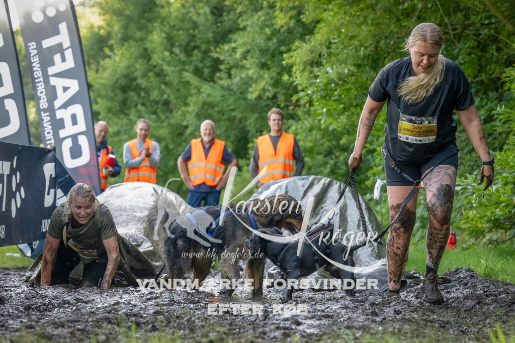 1114_ZZ93559-Bearbeitet | kk-dogfotos