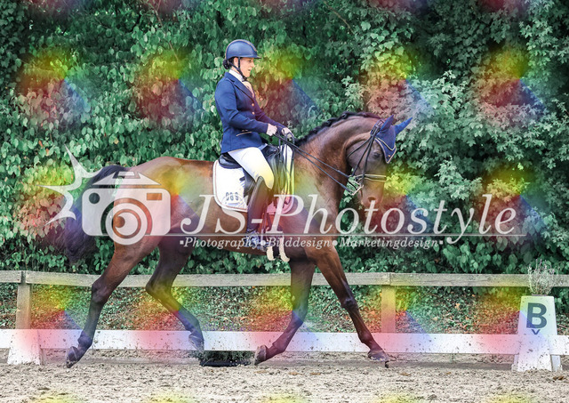 20250727_Dressurprfg_Kl.Mx-209 | JS-Photostyle - Sport-/Portrait- & Eventfotografie