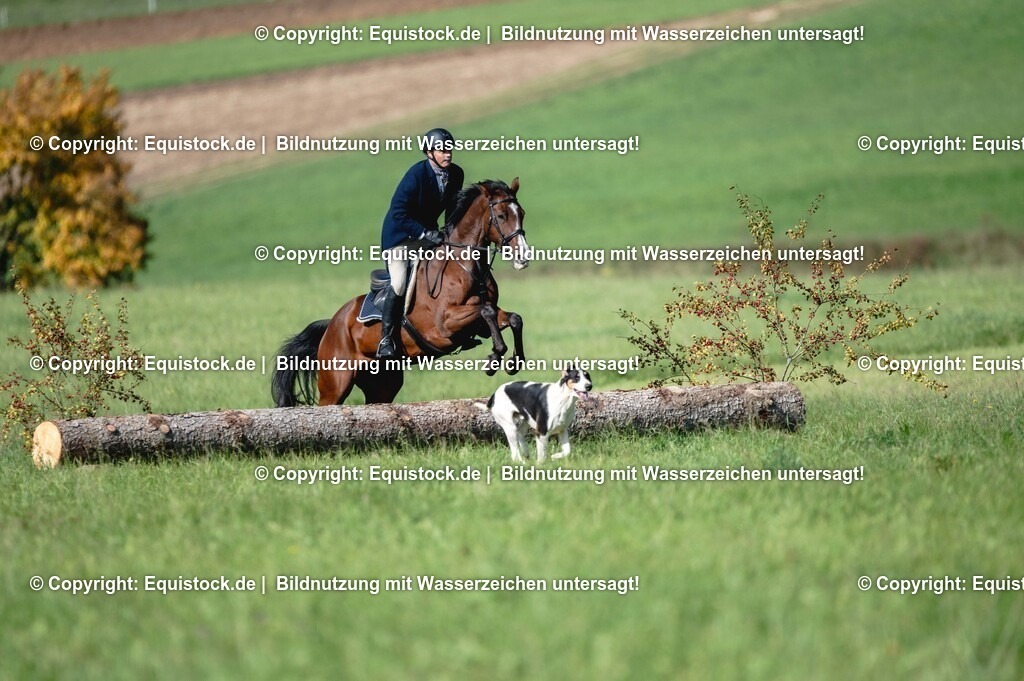 20251011_Jagd-Marbach_0231 | Foto: Thomas Hartig