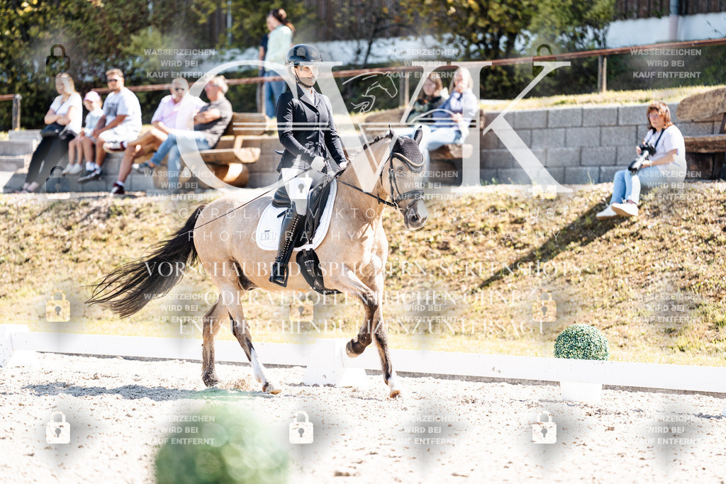 CK903849 | Turnierfotografie Pferdefotografie Trier Rheinland-Pfalz Pferdesport Reitsport Tierfotografie Sportfotografie Pferdevideo Pferdevideografie Equestrianvideography equestrianphotography  - Realisiert mit Pictrs.com