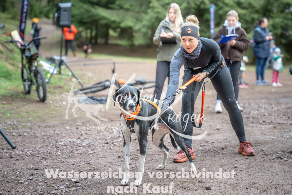 0813_ZZ99565 | kk-dogfotos