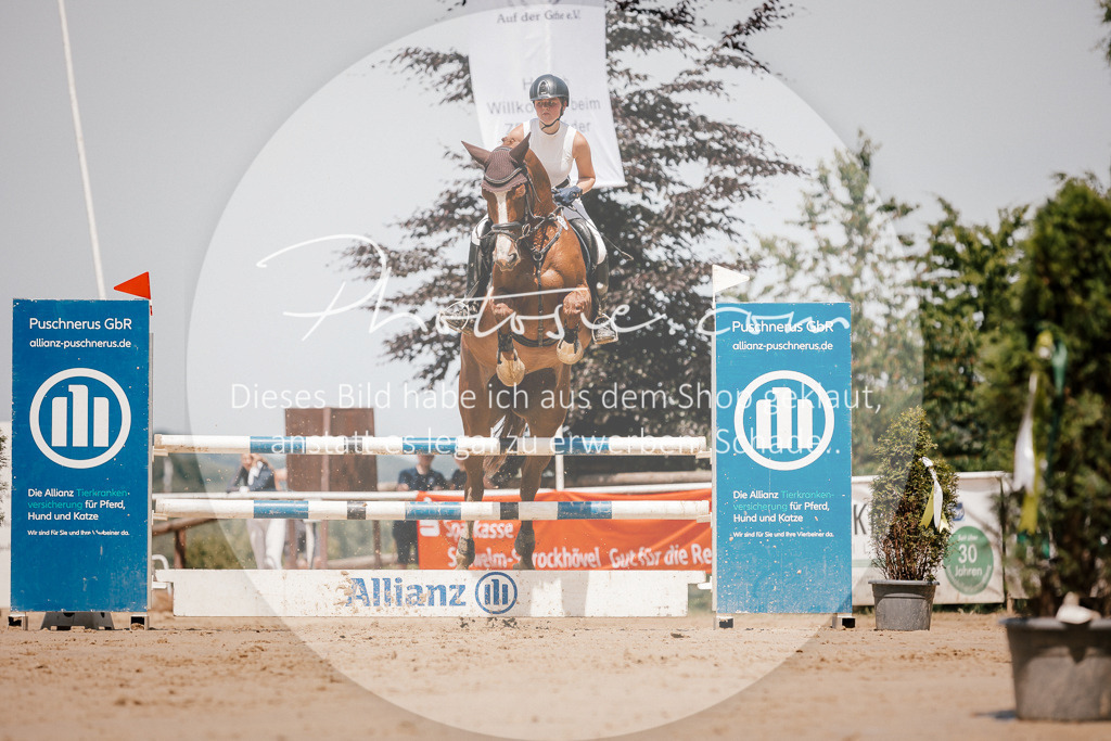 3I6A8056 | Stimmungsvolle Portraits und Reitsportfotografie im Ruhrgebiet und im Münsterland.

Pferdefotografie, Hundefotografie, Tierfotografie, Reportagen, Portraits von Tier und Mensch, Turnierfotografie in Bochum, Recklinghausen, Marl, Haltern am See, Dülmen.. - Realisiert mit Pictrs.com