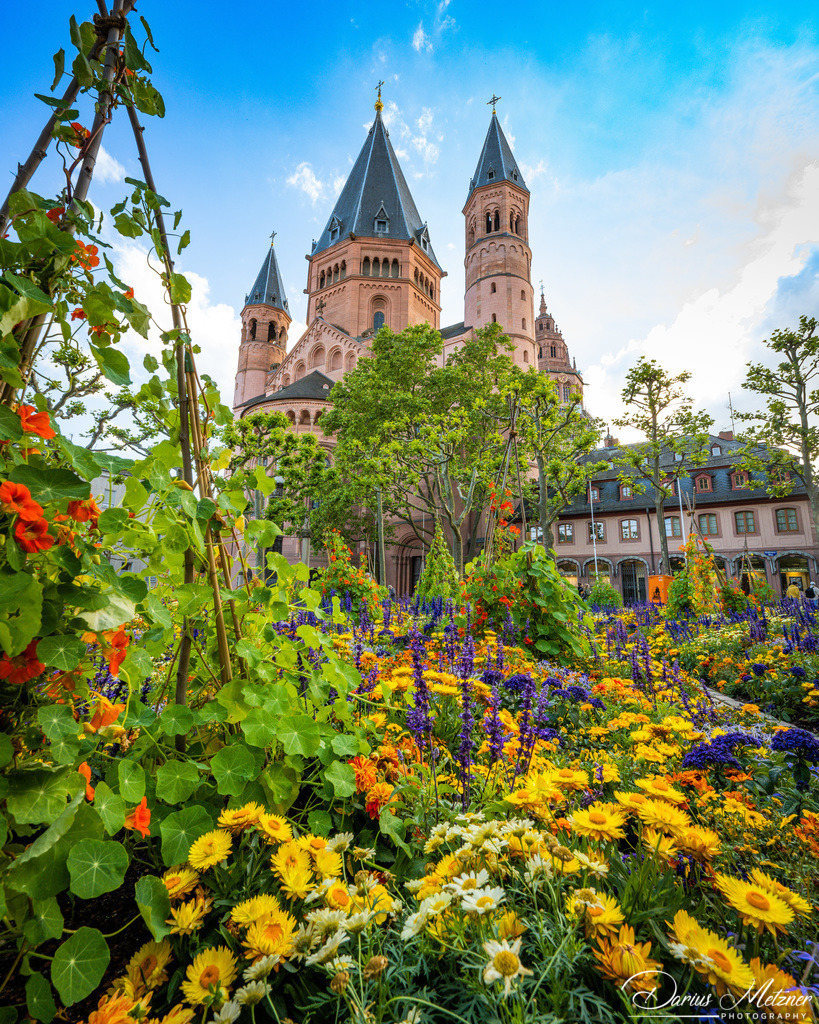 _DSC0566 | Fotografien, Fotos und Bilder aus Mainz, Frankfurt, Wiesbaden und anderen Orten auf der Welt - Fotografiert von Darius Metzner