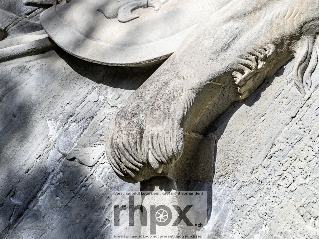 Löwendenkmal Luzern – Detailaufnahme | Detailaufnahme des berühmten Löwendenkmals in Luzern. - Realisiert mit Pictrs.com