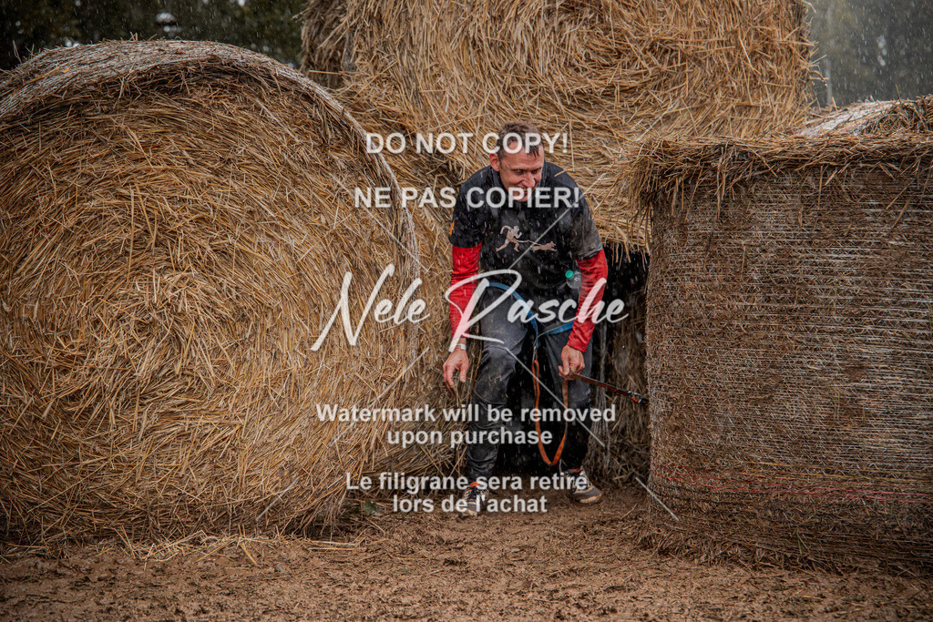 nelerasche_Hunsrück_So12-13_139 | nelerasche