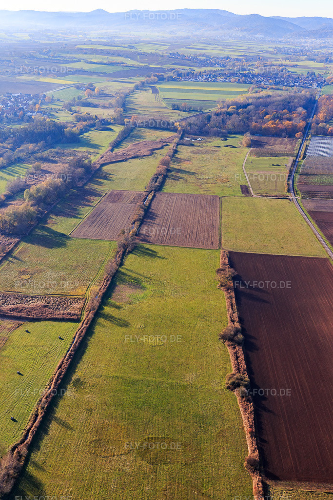 Luftbild: Billigheimer Bruch, Erlenbachtal zwischen Barbelroth, Hergersweiler und Winden im Ortsteil Mühlhofen in Billigheim-Ingenheim im Bundesland Rheinland-Pfalz in Deutschland. Foto: IMG_123860.jpg vom 21.11.2020 durch Werner Riehm/FLY-FOTO.de