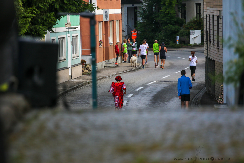 AW_20230617awmac8842 | Prambachkirchen, AUSTRIA, 17.06.2023 - 12h Benefizlauf Prambachkirchen, Image shows: Photo: WAPICS / Andreas Willdoner