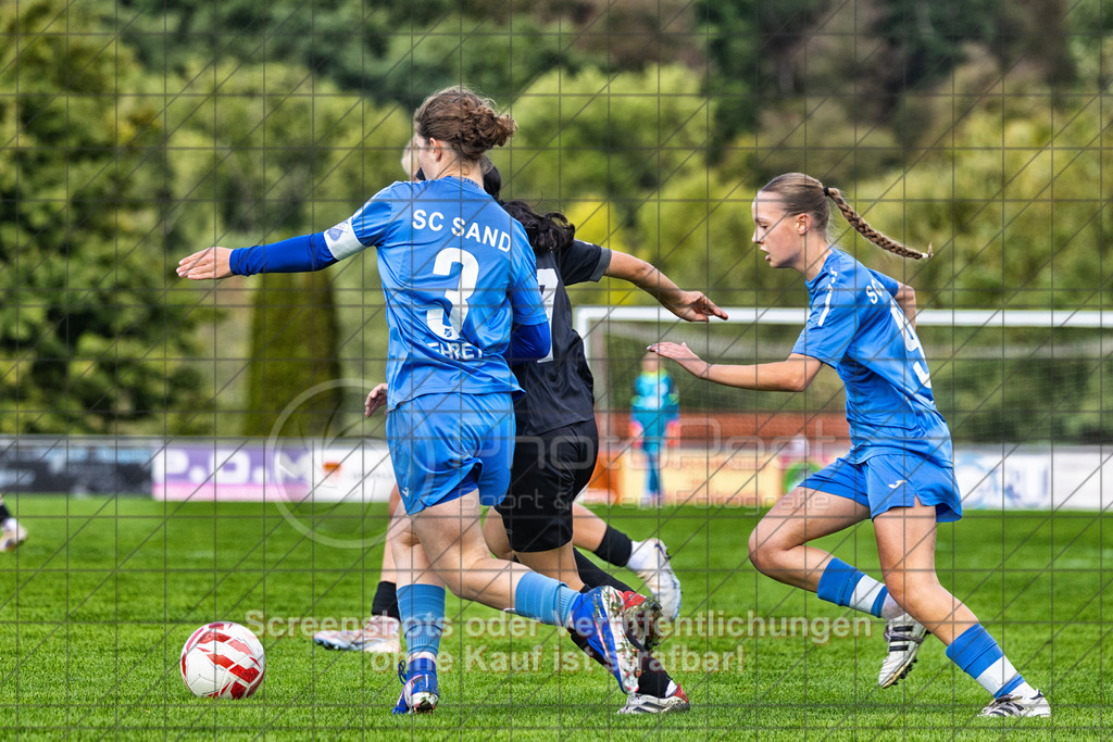 20261010_141819_0242-Bearbeitet_(c)_by_PhotoPeet | 3