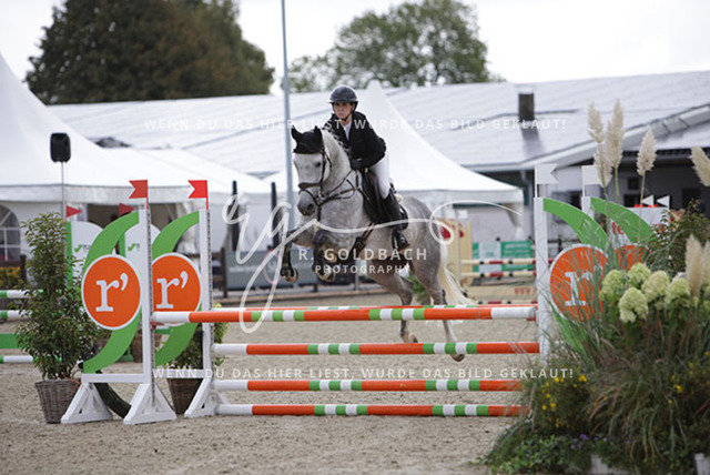 1J2A0259Nicola Schweiger_ Kam__ Kn559_ Havekost | Foto- und Videografie für alles rund ums Pferd. Hochwertige Bilder und Videos vom Spring- und Dressurreiten, Voltigieren & mehr. Jetzt aktuelle Veranstaltungen und Preise im Shop ansehen. - Realisiert mit Pictrs.com