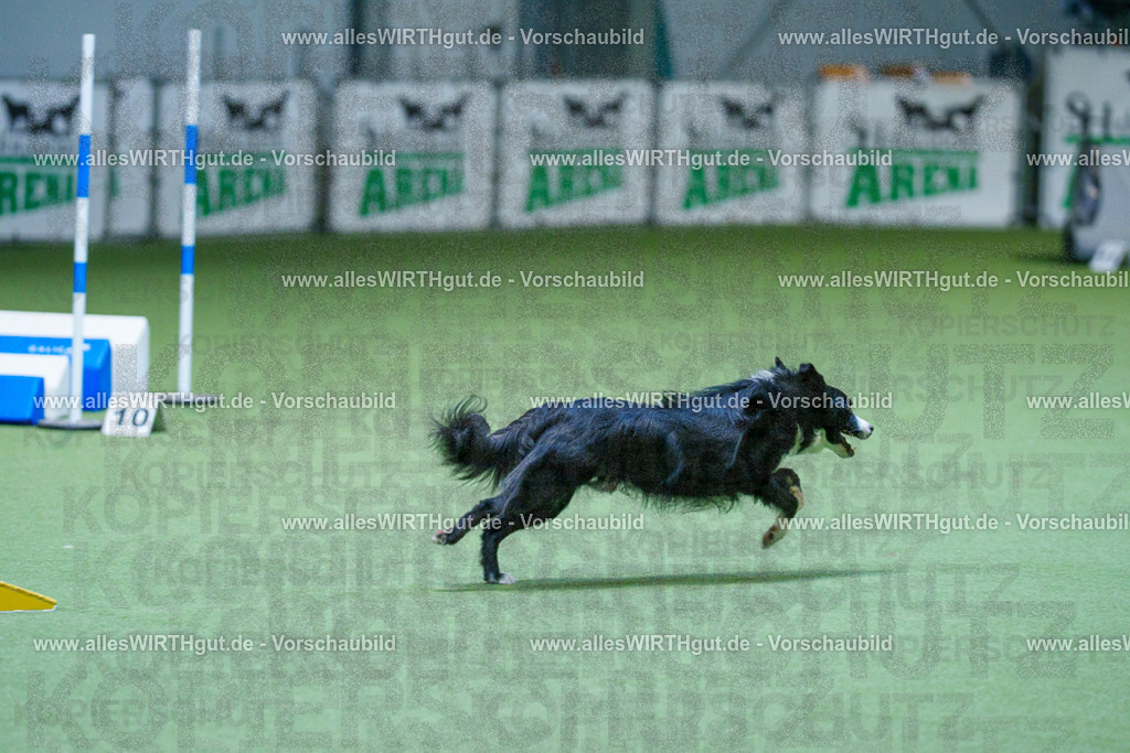 @allesWIRTHgut_Tierfotografie - www.allesWIRTHgut.de - 2604260809-7R506745 | Professionelle Tierfotografie in Mönchengladbach von Daniel Wirth (allesWIRTHgut). Liebevolle & natürliche Bilder von Hunden & Katzen für unvergessliche Erinnerungen.