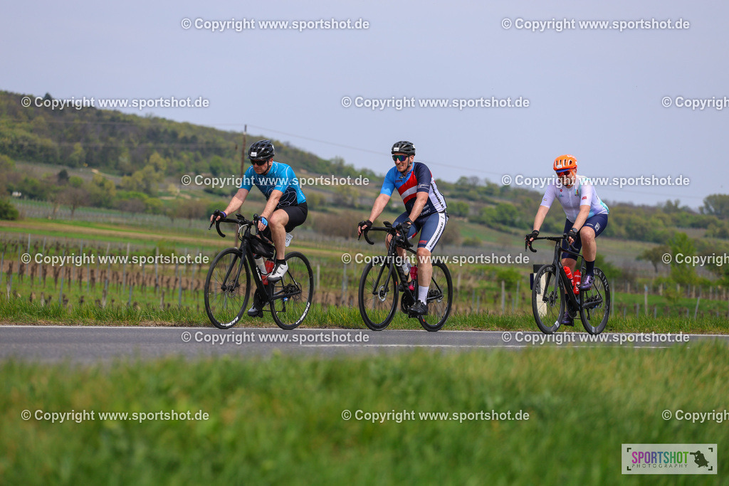 IMG_2835 | @sportshot_your_pictrs #yourpictures#roadtowm2029 #nrm #neusiedlerseeradmarathon #neusiedlersee #neusiedlerseetourismus #burgenland #mörbisch #nrm26 #burgenlandtourismus #voglundco #poweredbyburgenlandtourismus #radsport #rad #marathon #ucigranfondo #visitburgenland #ucigranfondoworldseries