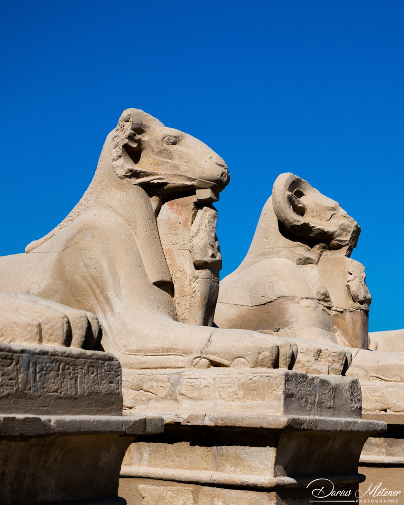 Bilder aus Luxor | Bilder aus Luxor