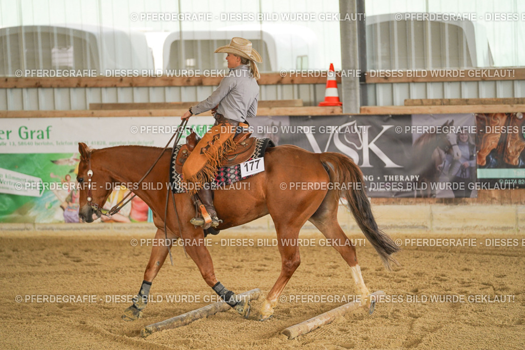 DSC04593 | Pferdegrafie