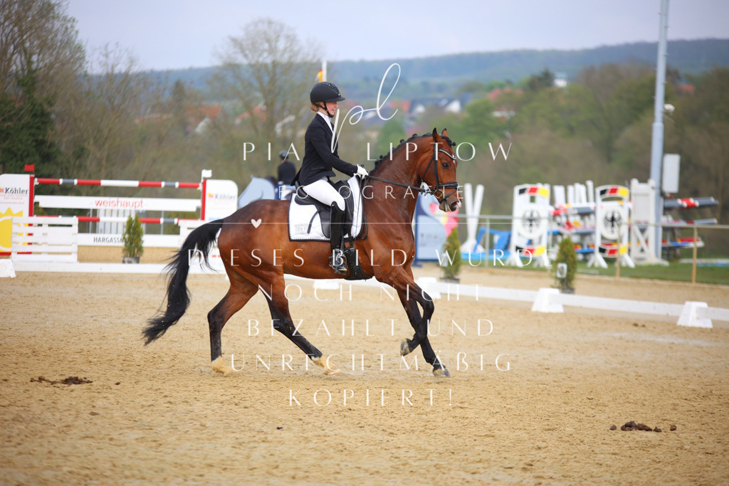 IMGT7988 | pl-fotografie