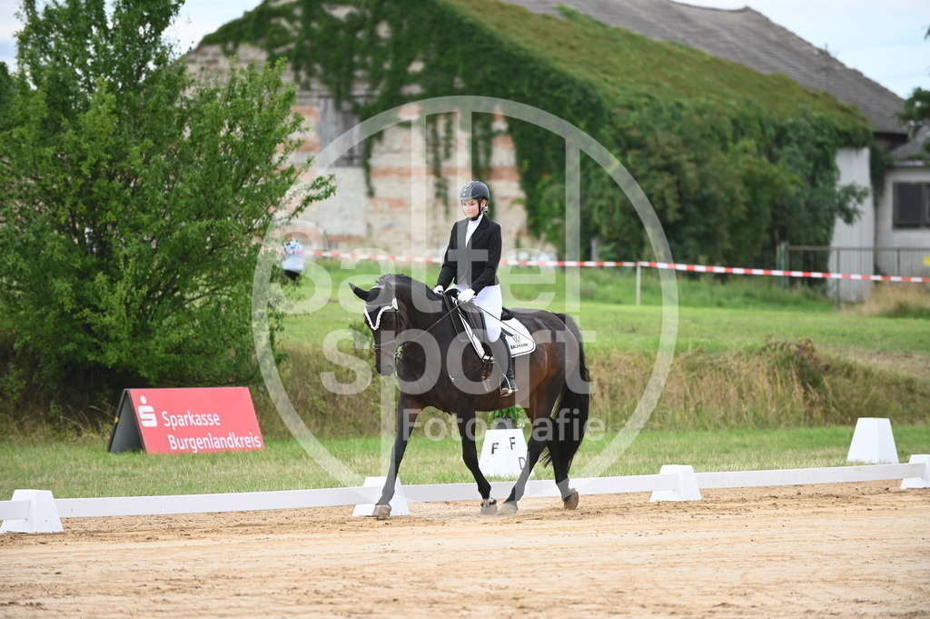 DSC_5225 | sattelsport - Realisiert mit Pictrs.com