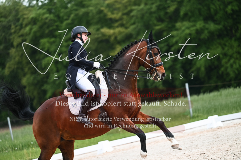 20230514_JK-Röhrsdorf-20-226 | Pferde- und Turnierfotografie in Westsachsen. Pferdeportraits, Auftragszeichnungen und intuitive Kunst.