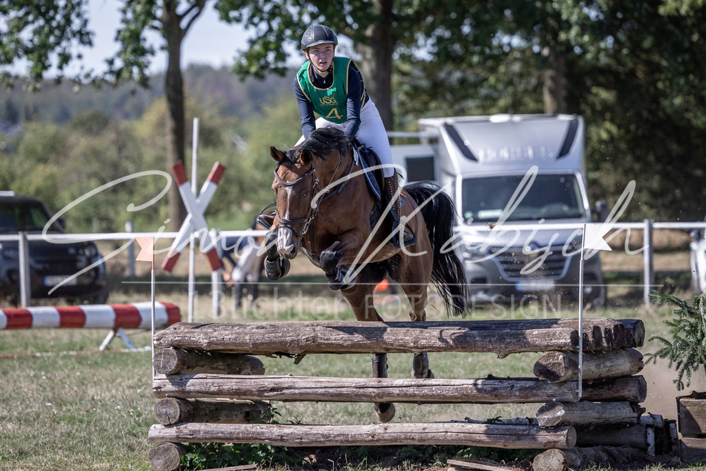 20260906-_3LI5166 | Tierfotografie Pferde, Hunde, Katzen, Haustiere.
Turnierfotografie Reitturniere, Reiten, Springreiten, Dressur in Hanau, dem Main-Kinzig-Kreis und dem Rhein-Main- Gebiet um Frankfurt