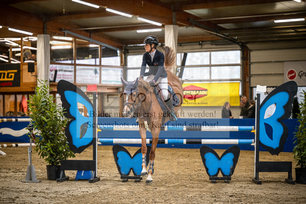 DOS_B1190 | Entdecke hochwertige Reitturnierfotos von Foto Oger. Professionell, emotional und authentisch – jetzt Lieblingsmomente im Shop bestellen.Deutschlandweite Turnierfotografie. - Realisiert mit Pictrs.com
