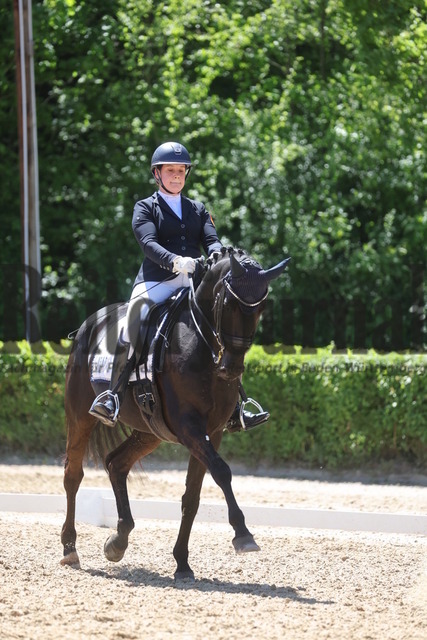 Böblingen_2025_Prfg.Nr.08_Dressurprüfung_Kl.M_Nürnberger Burgpokal_Lucia Rosa Schuler_Daila 15 (4) | Alle Fotos der Reiterjournal Fotografin Doris Matthaes im Reiterjournal Online-Fotoshop. - Realisiert mit Pictrs.com
