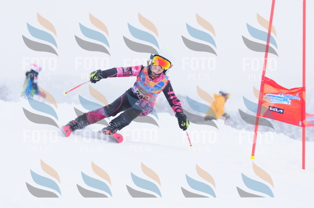 C2518 | holidayphoto