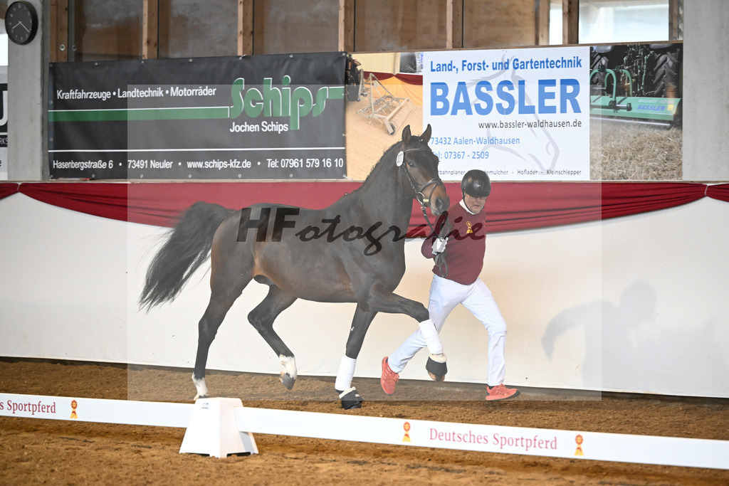 Kat-Nr. 37 Cayennes Cleverle v. Chubakko_ZG Fuell u Tiroke_16250047 | hf-fotografie - Realizzato con Pictrs.com