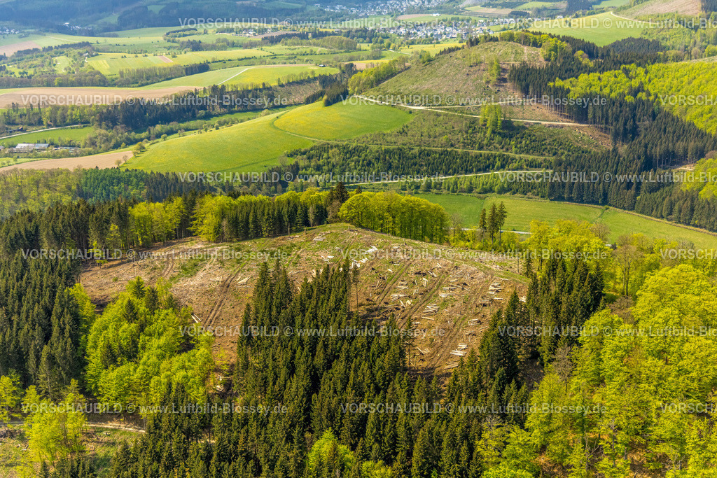 Schmallenberg240505710 | Luftbild, Hügellandschaft Mischwald Waldgebiet mit Waldschäden, Kalamitätsflächen,   Massenvermehrung von tierischen und pflanzlichen Schädlingen in Pflanzenkulturen, Oberkirchen, Schmallenberg, Sauerland, Nordrhein-Westfalen, Deutschland