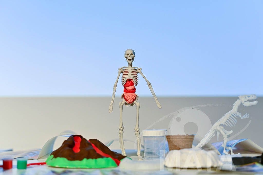 _DWA6746 | Presse-Preview Spielwarenmesse in Messe Nürnberg. Nürnberg, 31.01.2023 - Realisiert mit Pictrs.com