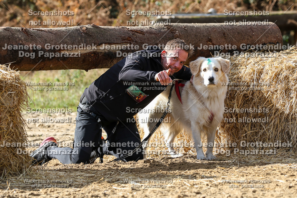 Dog Paparazzi - Strongdog 10-25-5550 | Dog Paparazzi Jeanette Grottendiek Fotografie & Videografie
