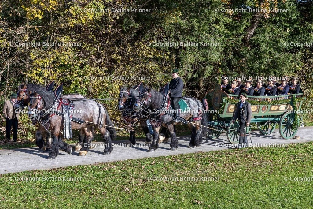 LBT24-630 | foto-bettina-krinner - Realisiert mit Pictrs.com