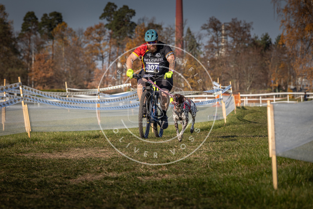 CaniXpix_0L8A8202 | Hundefotografie, Tierfotograf, Pfotenfotografie, Fotoshooting Hund, Hunde Portrait, Hundesport, Hundeportraits, Heideshooting, Hunde, Sportfotograf, Hundefotograf, Turnierhundsport, THS,  - Realisiert mit Pictrs.com