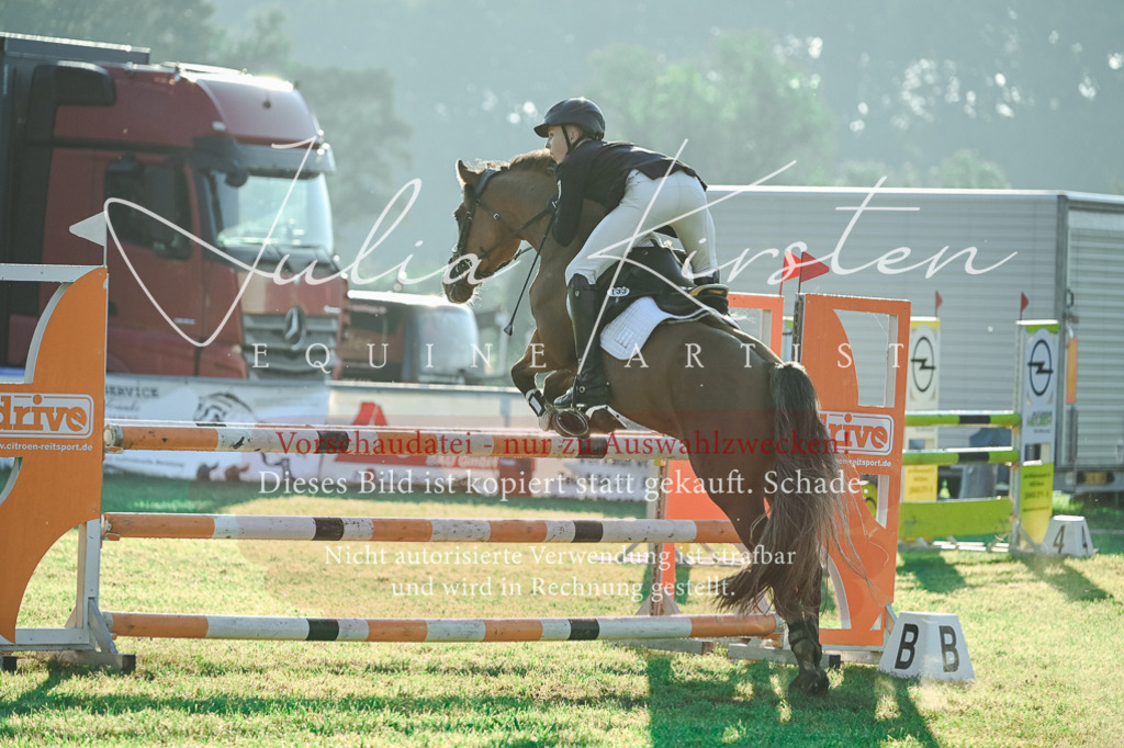 DSC_4124 | Pferde- und Turnierfotografie in Westsachsen. Pferdeportraits, Auftragszeichnungen und intuitive Kunst.