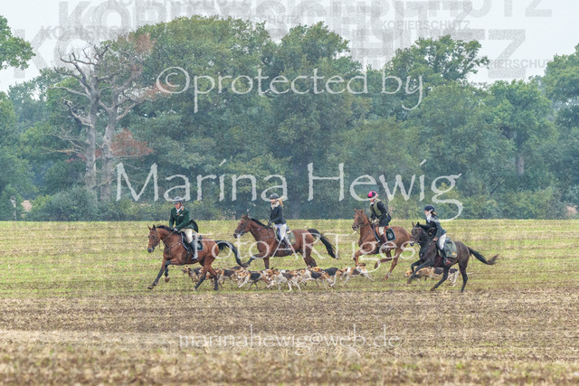 Jagd Perdoel_MarinaHewigMCH04097 | Fotografie, FotoArt, PferdesportArt, Pferdesportfotografie, Landschaftsfotografie, Reisefotografie, Reise, Pferde - Realisiert mit Pictrs.com