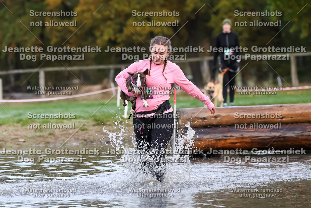 Dog Paparazzi - Strongdog 10-25-6417 | Dog Paparazzi Jeanette Grottendiek Fotografie & Videografie - Realisiert mit Pictrs.com